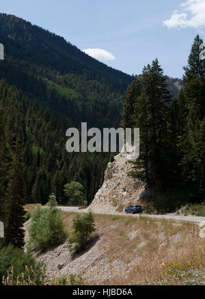 Auto su grandi pioppi neri americani Canyon Road (Strada Statale 190), Utah, Stati Uniti d'America Foto Stock