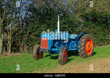 1960 Fordson Dexta trattore vintage Foto Stock