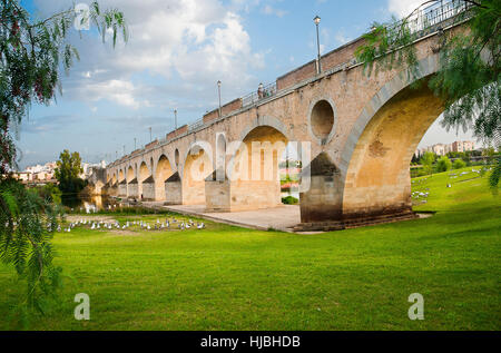 Ponte di palme, Badajoz, Estremadura, Spagna Foto Stock