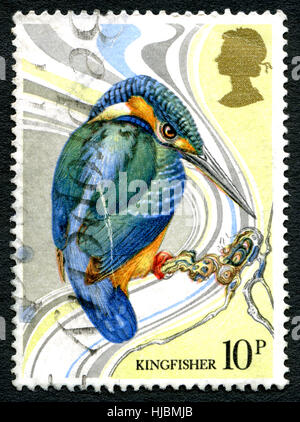 Gran Bretagna - circa 1979: un usato francobollo DAL REGNO UNITO, raffigurante una illustrazione di un uccello Kingfisher, circa 1979. Foto Stock