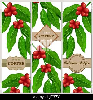 Set di banner con ramo di caffè e fagioli. Illustrazione Vettoriale. Illustrazione Vettoriale