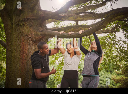 Personal trainer istruire due donne su pull ups tramite park ramo di albero Foto Stock