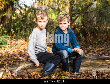 Ritratto di twin boys, all'aperto, seduto sul log in autunno Foto Stock