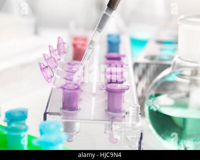 Il pipettaggio di campioni in provette per microcentrifuga durante un esperimento in laboratorio Foto Stock