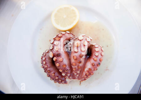 Piastra del polpo alla griglia Foto Stock