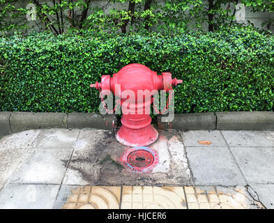 Vecchio idrante di fuoco con la grande valvola sul percorso nell'area urbana. Foto Stock