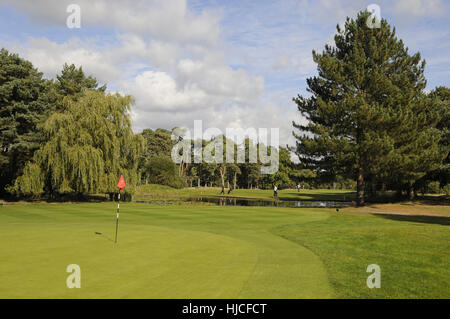 Vista sul verde per lo stagno sul foro xvi indietro lungo il fairway, Camberley Heath Golf Club Surrey in Inghilterra Foto Stock