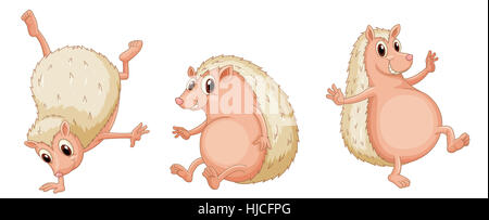 Oggetto, arte, gioco, torneo, riprodurre, riproduzione, gioca, giocato, isolato, animale, Foto Stock