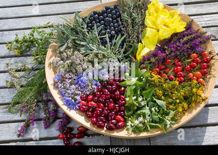 Spätsommer Blütenteller und Früchteteller. Blüten, Blumen, Kräuter, Kräuter sammeln, Kräuterernte, Blüten und Früchte auf einem Teller sortiert, bunt, Foto Stock