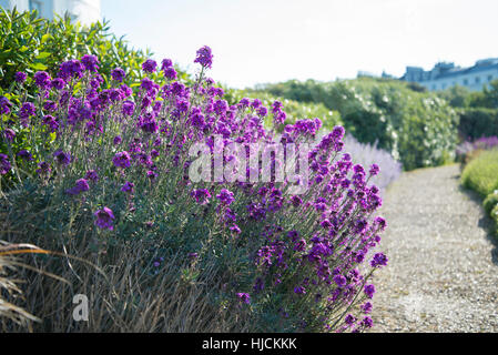 Architettura Regency e giardini di Lewes Crescent, Brighton. Foto Stock