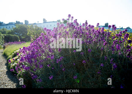 Architettura Regency e giardini di Lewes Crescent, Brighton. Foto Stock
