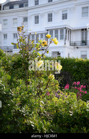 Architettura Regency e giardini di Lewes Crescent, Brighton. Foto Stock