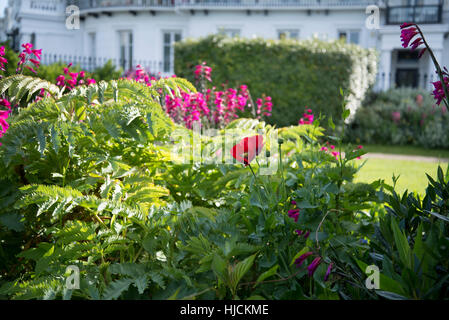 Architettura Regency e giardini. Lewes Crescent, Brighton. Foto Stock