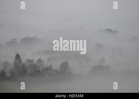 Tress inserimenti attraverso basse nubi e nebbia ©Peter Cripps/Alamy Live News Foto Stock