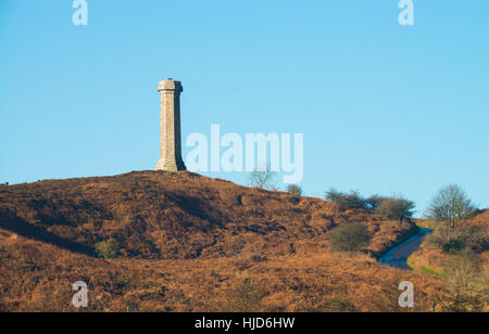 Foschia mattutina a Hardy Monument, vicino a Dorchester Dorset, Regno Unito. Il 23 gennaio 2017. Una nebbiosa per iniziare la giornata nel Dorset con Hardy Monument al di sopra della nebbia. © Dan Tucker/Alamy Live News Foto Stock