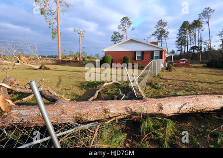 Adel, STATI UNITI D'AMERICA. 23 gen 2017. Una recinzione è visto schiacciato da un albero abbattuto in un cantiere in una casa vicino al Sunshine Acres Mobile Home Park di Adel, Georgia, dove un violento tornado ha livellato la metà delle 40 case, sostenendo sette vite nelle prime ore del mattino del 22 gennaio 2017. Le vittime avevano età compresa da 18 a 62. La tempesta era parte di un sistema meteo che ha generato dozzine di tornado attraverso il sud per tutto il weekend, uccidendo 20 persone. Credito: Paul Hennessy/Alamy Live News Foto Stock