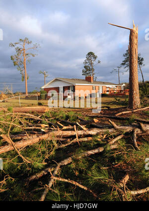 Adel, STATI UNITI D'AMERICA. 23 gen 2017. Alberi abbattuti per lettiera un cantiere in una casa vicino al Sunshine Acres Mobile Home Park di Adel, Georgia, dove un violento tornado ha livellato la metà delle 40 case, sostenendo sette vite nelle prime ore del mattino del 22 gennaio 2017. Le vittime avevano età compresa da 18 a 62. La tempesta era parte di un sistema meteo che ha generato dozzine di tornado attraverso il sud per tutto il weekend, uccidendo 20 persone. Credito: Paul Hennessy/Alamy Live News Foto Stock