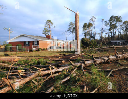 Adel, STATI UNITI D'AMERICA. 23 gen 2017. Alberi abbattuti per lettiera un cantiere in una casa vicino al Sunshine Acres Mobile Home Park di Adel, Georgia, dove un violento tornado ha livellato la metà delle 40 case, sostenendo sette vite nelle prime ore del mattino del 22 gennaio 2017. Le vittime avevano età compresa da 18 a 62. La tempesta era parte di un sistema meteo che ha generato dozzine di tornado attraverso il sud per tutto il weekend, uccidendo 20 persone. Credito: Paul Hennessy/Alamy Live News Foto Stock