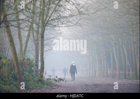 Londra, Regno Unito. 24 gen 2017. Nebbia mattutina indugia in Holland Park, West London. La nebbia si prevede di continuare nel Regno Unito per i prossimi giorni secondo le previsioni del tempo. Credito: Stephen Chung/Alamy Live News Foto Stock