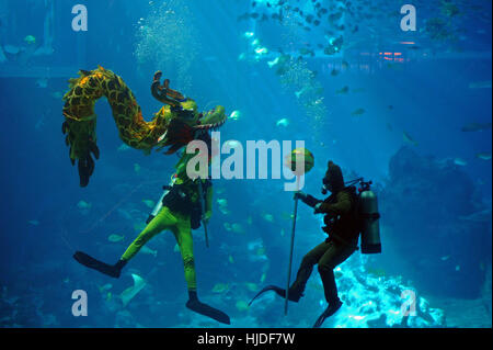 Singapore. 25 gennaio, 2017. I subacquei eseguire il sottomarino dragon dance presso il S.E.A. Acquario di Resorts World Sentosa di Singapore il 25 gennaio, 2017. L'acquario presentato ai media un'anteprima della subacquea dragon dance che sarà parte del nuovo anno lunare festeggiamenti. Credito: Quindi Chih Wey/Xinhua/Alamy Live News Foto Stock