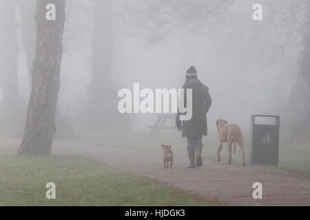 Chippenham, Regno Unito. 25 gennaio 2017. Clima invernale nel Regno Unito. Mentre il freddo nebbia continua a colpire molte parti del Regno Unito, una donna è ritratta camminando i suoi cani in un parco a Chippenham, Wiltshire. Crediti: Lynchpics/Alamy Live News Foto Stock