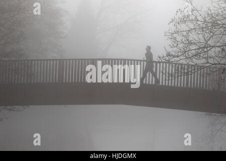 Chippenham, Regno Unito. 25 gennaio 2017. Mentre il clima nebbioso invernale continua a colpire molte parti del Regno Unito, un uomo viene ritratto a camminare attraverso un ponte sul fiume Avon a Chippenham, Wiltshire. Crediti: Lynchpics/Alamy Live News Foto Stock