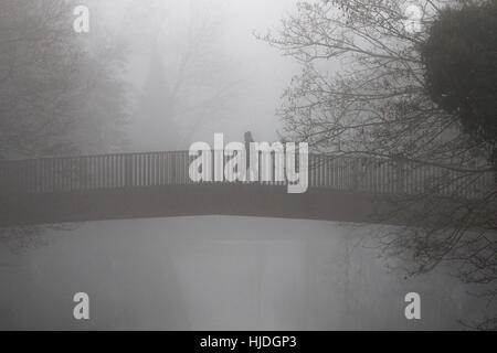 Chippenham, Regno Unito. 25 gennaio 2017. Mentre la nebbia invernale continua a colpire molte parti del Regno Unito, una persona viene ritratta camminando attraverso un ponte sul fiume Avon a Chippenham, Wiltshire. Crediti: Lynchpics/Alamy Live News Foto Stock