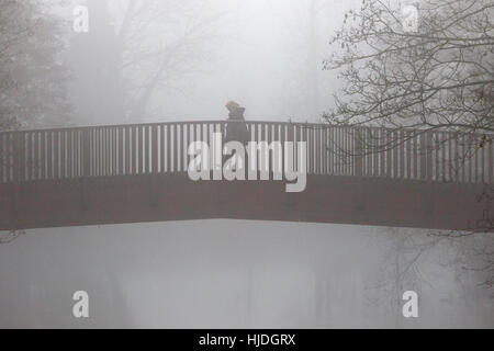 Chippenham, Regno Unito. 25 gennaio 2017. Mentre il clima nebbioso invernale continua a colpire molte parti del Regno Unito, una donna viene ritratta camminando attraverso un ponte sul fiume Avon a Chippenham, Wiltshire. Crediti: Lynchpics/Alamy Live News Foto Stock