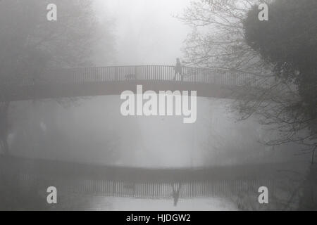 Chippenham, Regno Unito. 25 gennaio 2017. Mentre il clima nebbioso continua a colpire molte parti del Regno Unito, una persona che cammina con il suo cane è ritratta camminando attraverso un ponte sul fiume Avon a Chippenham, Wiltshire. Crediti: Lynchpics/Alamy Live News Foto Stock