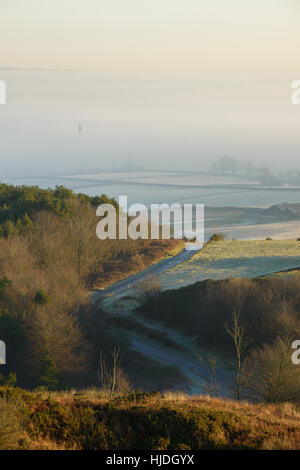 Misty sunrise da Hardy Monument, vicino a Dorchester Dorset, Regno Unito. Il 25 gennaio 2017. Un colorato gelido inverno misty sunrise da Hardy Monument. © Dan Tucker/Alamy Live News Foto Stock