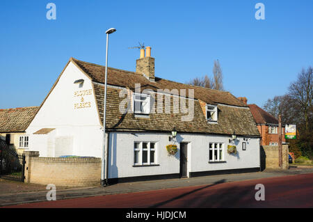 Aratro e vello public house, Horningsea, Cambridgeshire, England, Regno Unito Foto Stock