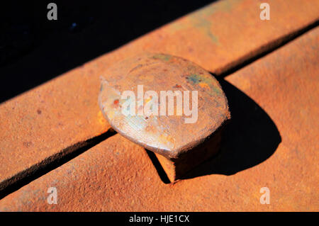 Primo piano di un ferro arrugginito chiodo ferroviario nel suo supporto. Concetto: ferrovie Foto Stock