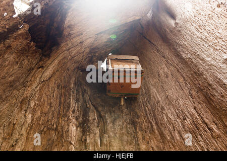 Beehive internamente cava morto baobab, per la produzione di miele locale da persone native API ,Uzi, isola di Zanzibar, Tanzania Africa Foto Stock