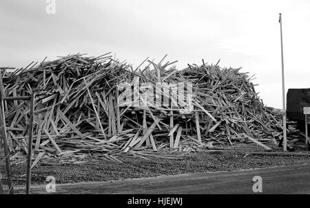 AJAXNETPHOTO. 2008. WORTHING, Inghilterra. - Nave cargo si è incagliata - enorme montagna di segati di legno di bosso dalla nave cargo principe che affondò nel Canale, lavato fino sulla spiaggia cittadina. Foto:JONATHAN EASTLAND/AJAX REF:81504 3 7B5 1 Foto Stock