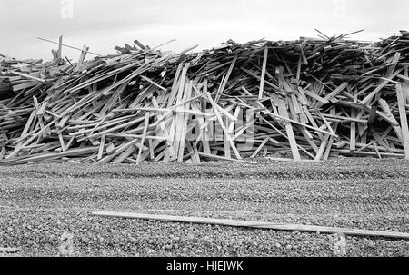 AJAXNETPHOTO. 2008. WORTHING, Inghilterra. - Nave cargo si è incagliata - enorme montagna di segati di legno di bosso dalla nave cargo principe che affondò nel Canale, lavato fino sulla spiaggia cittadina. Foto:JONATHAN EASTLAND/AJAX REF:81514 2 B5 1 Foto Stock