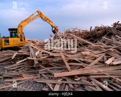 AJAXNETPHOTO. 2008. WORTHING, Inghilterra. - Nave cargo si è incagliata - enorme montagna di segati di legno di bosso dalla nave cargo principe che affondò nel Canale, lavato fino sulla spiaggia cittadina. Foto:JONATHAN EASTLAND/AJAX REF:80203 539 Foto Stock