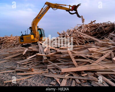 AJAXNETPHOTO. 2008. WORTHING, Inghilterra. - Nave cargo si è incagliata - enorme montagna di segati di legno di bosso dalla nave cargo principe che affondò nel Canale, lavato fino sulla spiaggia cittadina. Foto:JONATHAN EASTLAND/AJAX REF:80203 541 Foto Stock