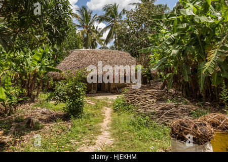 Piccola casa primitiva con tetto di paglia,costruito da native popolazioni locali, fatta di bastoni di legno e terra rossa (nessuna mattoni), Zanzibar, Tanzania Africa Foto Stock