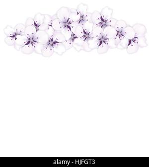 Telaio superiore sakura bouquet di fiori blu Illustrazione Vettoriale