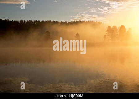 WYOMING - Misty sunrise riflettendo su Yellowstone River nella calma della Hayden vallata del Parco Nazionale di Yellowstone. Foto Stock