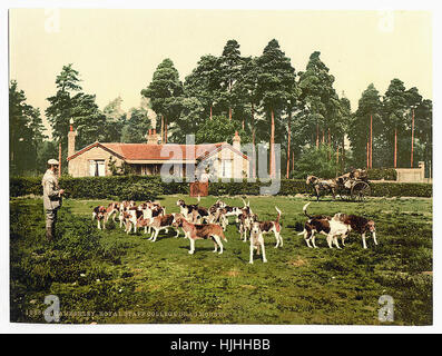 Royal Staff College, trascinare hounds, Camberley, Inghilterra - Photochrom XIX SECOLO Foto Stock