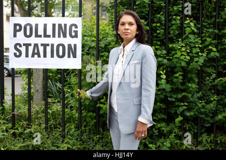 Gina Miller, la donna dietro il punto di riferimento Articolo 50 causa legale per ottenere che il Parlamento voti sul processo Brexit, London, Regno Unito Foto Stock