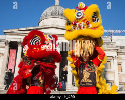 Lion ballerini da Chinatown eseguire sui gradini di Trafalgar Square di fronte alla Galleria Nazionale davanti a questo weekend di "Anno del Gallo' Capodanno cinese a Londra, Regno Unito. Foto Stock