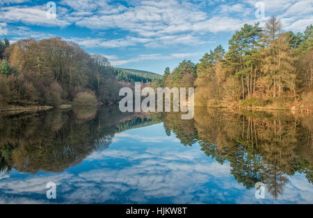 Serbatoio Llanwonno nella foresta Llanwonno Galles del Sud Foto Stock