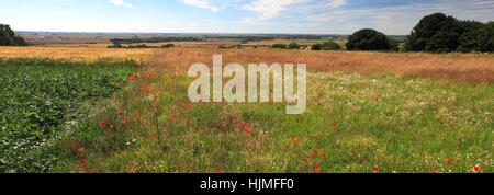 Lincolnshire Wolds vicino Mareham sulla collina village, Lincolnshire, England, Regno Unito Foto Stock