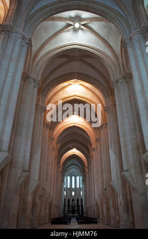 Il Portogallo, il medievale Cattolica Romana monastero di Alcobaca: dettagli del vault manuelina con vista della navata della chiesa Foto Stock