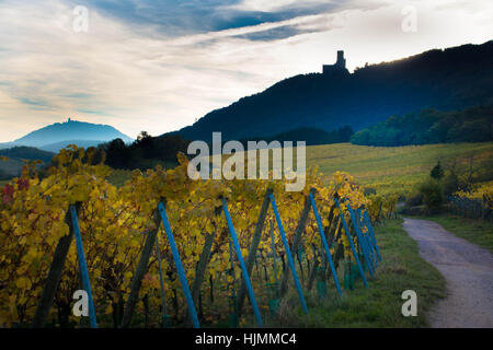 Castello in Dambach la Ville, Alsazia Foto Stock