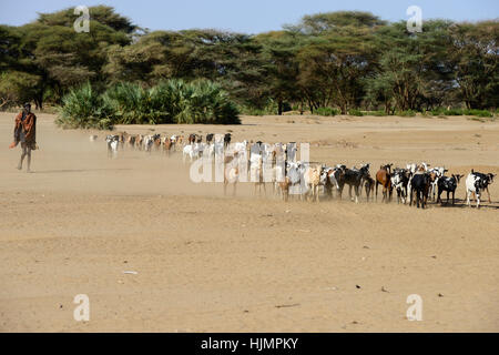 KENIA Turkana, Lodwar, Turkana pastore con capre alla ricerca di acqua e pascoli / Turkana Hirte mit Ziegen auf der Suche nach Wasser und Futter Foto Stock