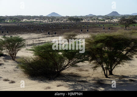 KENYA, Lodwar, 65 accres NAPUU irrigazione a goccia regime da parte del governo della contea, l'acqua viene pompata da un solare pompa ad un grande serbatoio da cui l'acqua fluisce per gravità in piccoli serbatoi per l'irrigazione a goccia di campi di vegetali Foto Stock