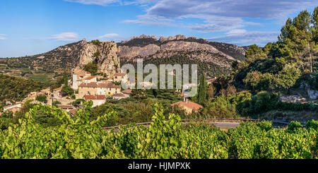 Viticoltura, La Roque Alric, Montmirail Pizzi, Vaucluse Francia, Europa Foto Stock